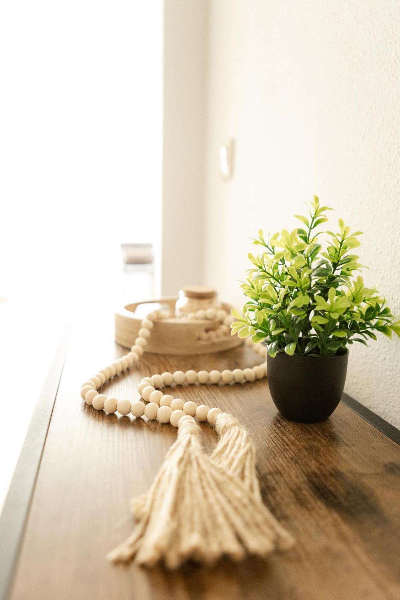 Neu, Superior Apartment 229, Im Oberharz, Mit Sauna & Schwimmbad, Entspannung Pur Braunlage Buitenkant foto